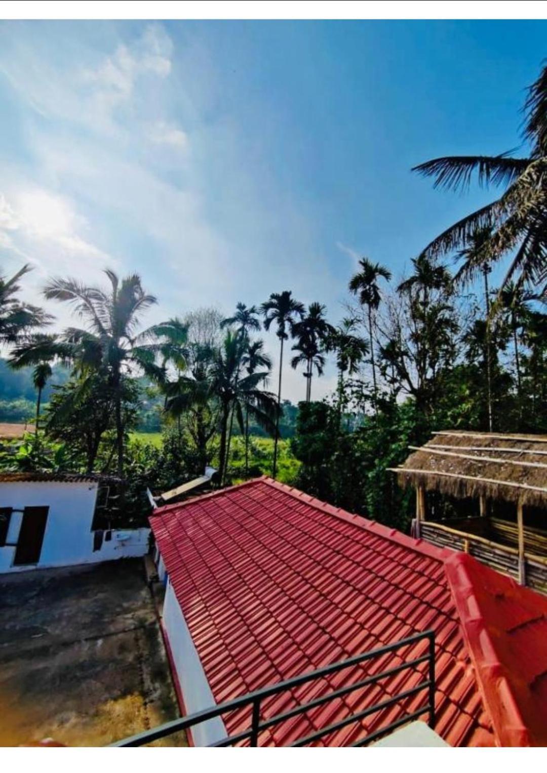 Streaming Valley Independent Coffee Estate Stay Madikeri Eksteriør bilde
