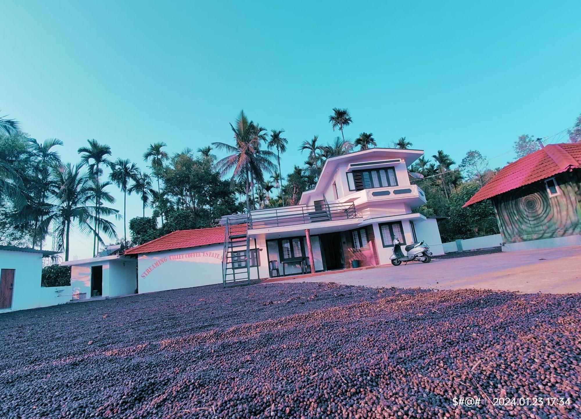 Streaming Valley Independent Coffee Estate Stay Madikeri Eksteriør bilde